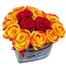 Pote corazon rosas bicolores pintadas 